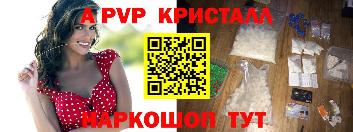 Альфа ПВП СК Кисловодск
