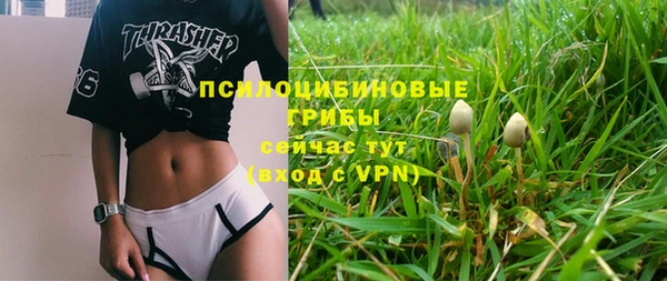 МДМА Лабытнанги