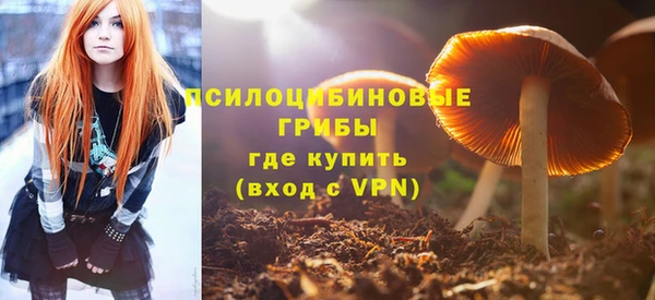 МДМА Лабытнанги