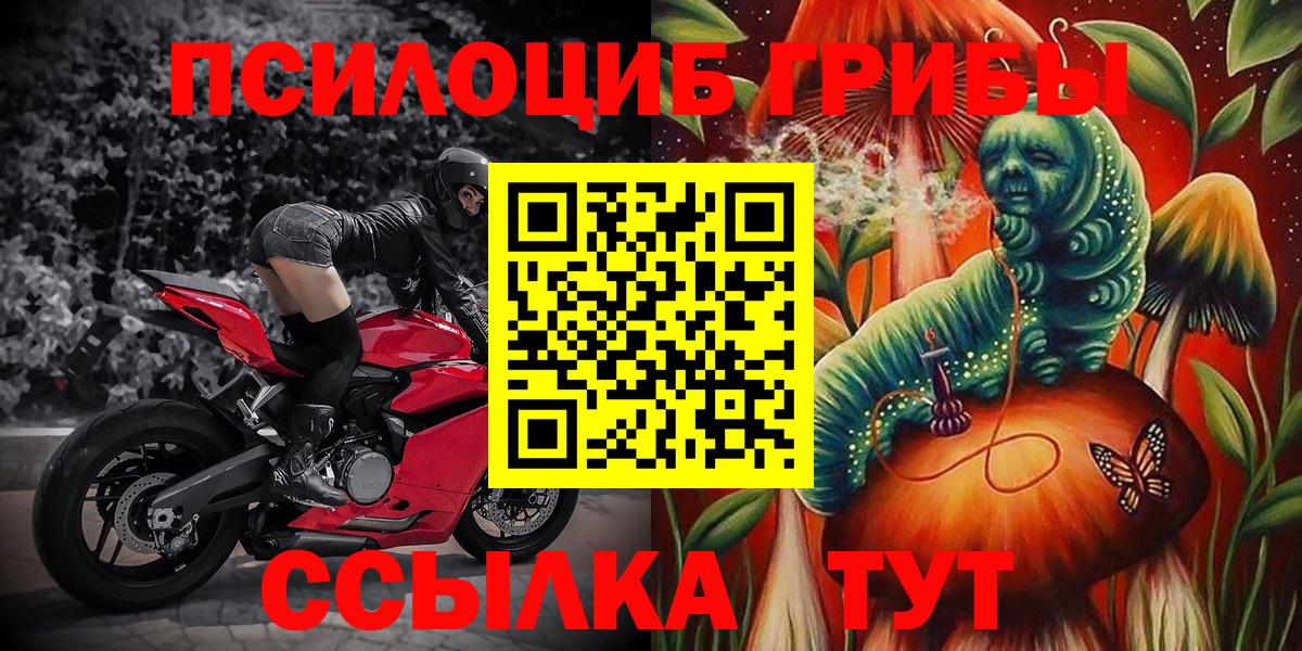 Галлюциногенные грибы ЛСД  Кисловодск 