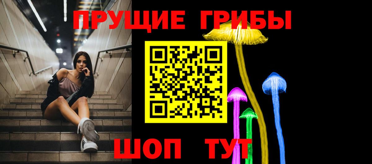 Псилоцибиновые грибы Magic Shrooms  наркотики  Кисловодск  Псилоцибиновые грибы Magic Shrooms  Вход с VPN 