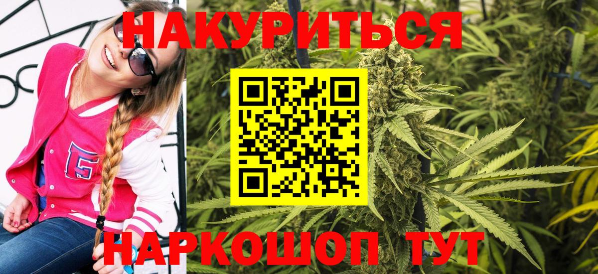 Конопля OG Kush Кисловодск